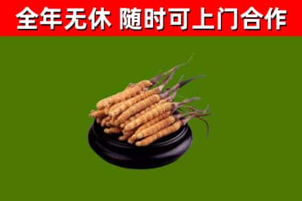 沾益区烟酒回收冬虫夏草.jpg